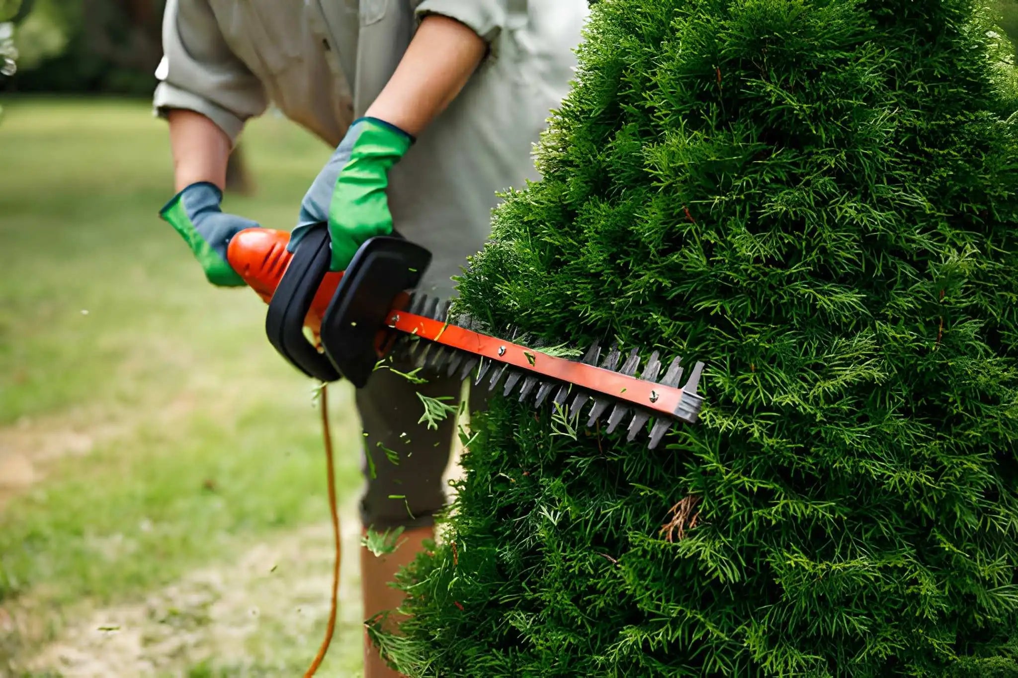 slider image slide_1